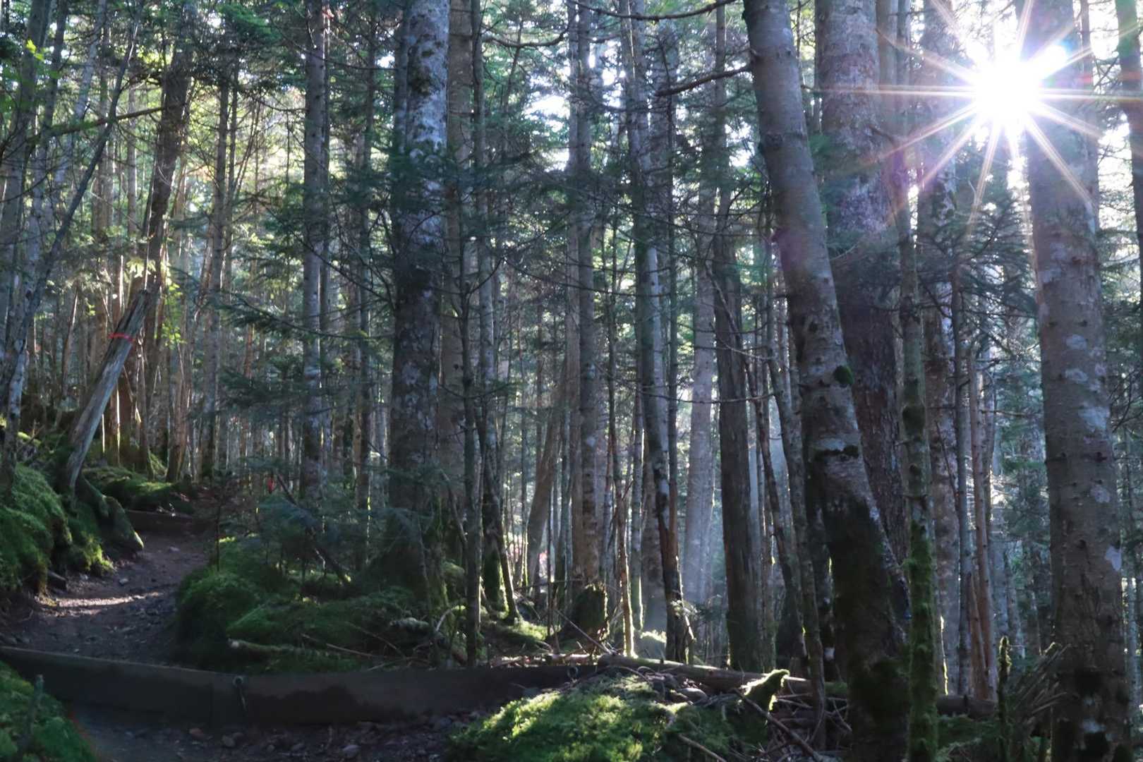 気持ちの良い朝をむかえました☀️晴れてて良かった☀️
朝はパンとコーヒーを☕️