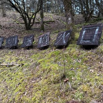 ここも噴火口でしたか…