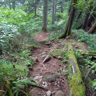 下山するまで気は抜けません