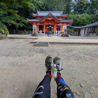 中山寺奥之院。梅ドリンク🧃。
CW-X、Mサイズ。ウェストで合わせたらM。買った時は丁度良かった。2kg肥えただけなのに。引っ張り、引き伸ばして屈伸しながら股間まであげた。膝から下はゆるゆる。頑張らず食べるカロリーを落として59.9kgになる。そしたら最も軽やかに山歩。