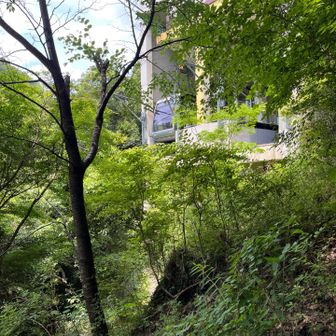 　ゴンドラ🚡が止まっています。