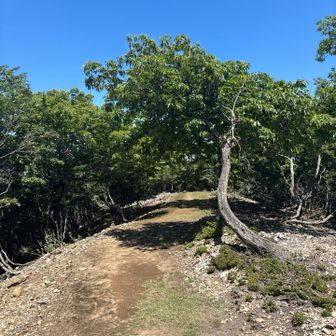 鳩ケ峰方面へ。