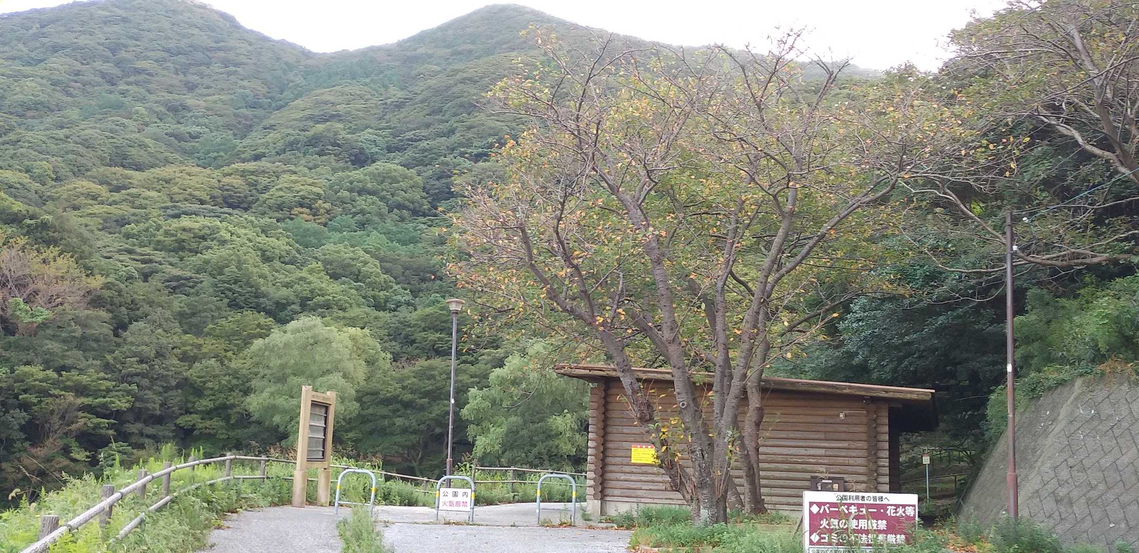 小森江子供の森の公園の駐車場に、止めて⤴️
