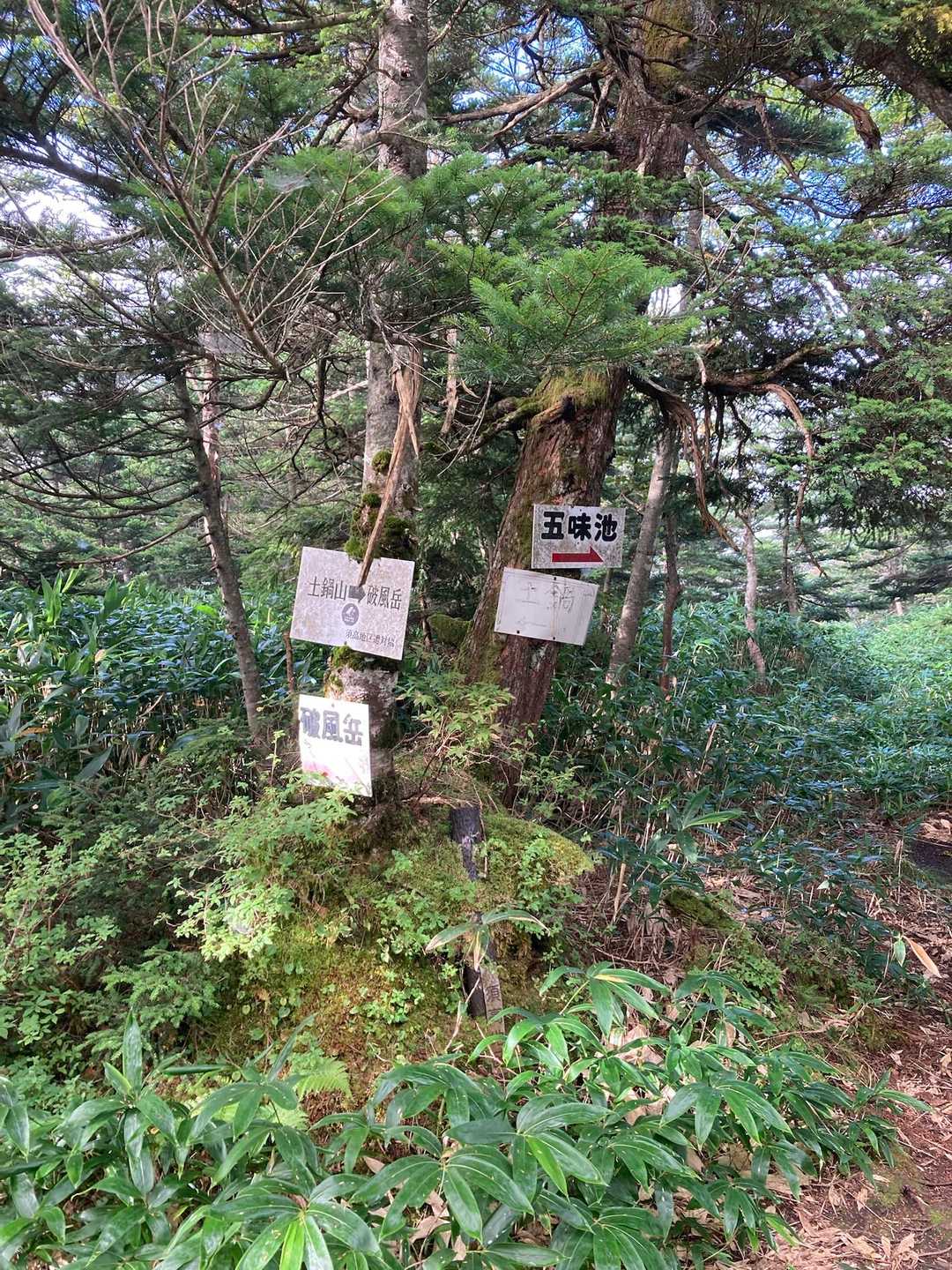 遠くから見るとこんな感じで看板が鈴なりです
