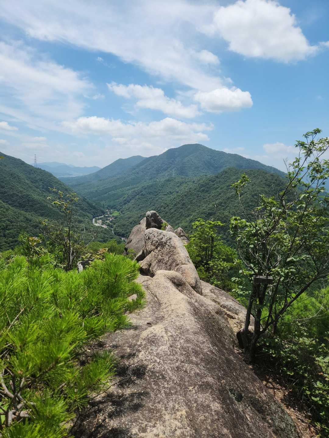 南登山口-鎌倉寺山 南峰-権兵衛山-牛岩登山口 周回コースの写真