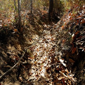 くだり　かなり急です

携行を諦められた善意の杖が置かれていた