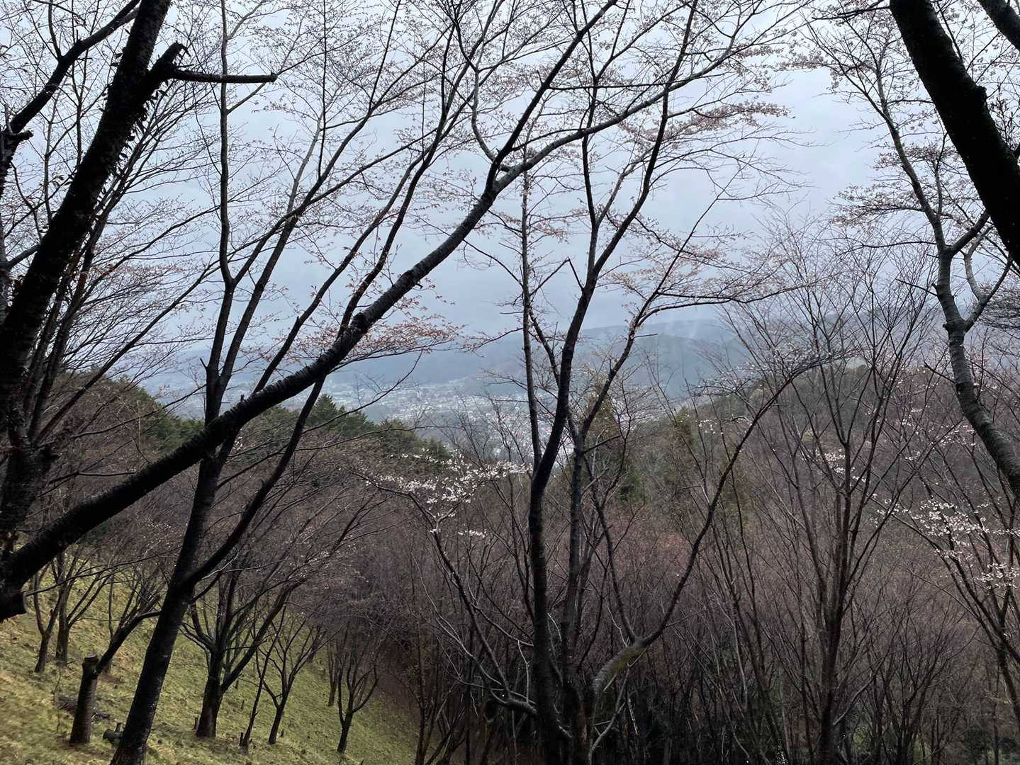 復路は少し気持ちの余裕が出来て、青梅の町や桜🌸を眺めながら走ってます。
後ろからスゴイ勢いで走って来られた70代くらいの男性に、「あともう少しだよー‼︎頑張れー‼︎」と声をかけられ、そのパワフルさに力をいただいた感じでゴールまで駆け抜けました🏃🏻‍♀️💨