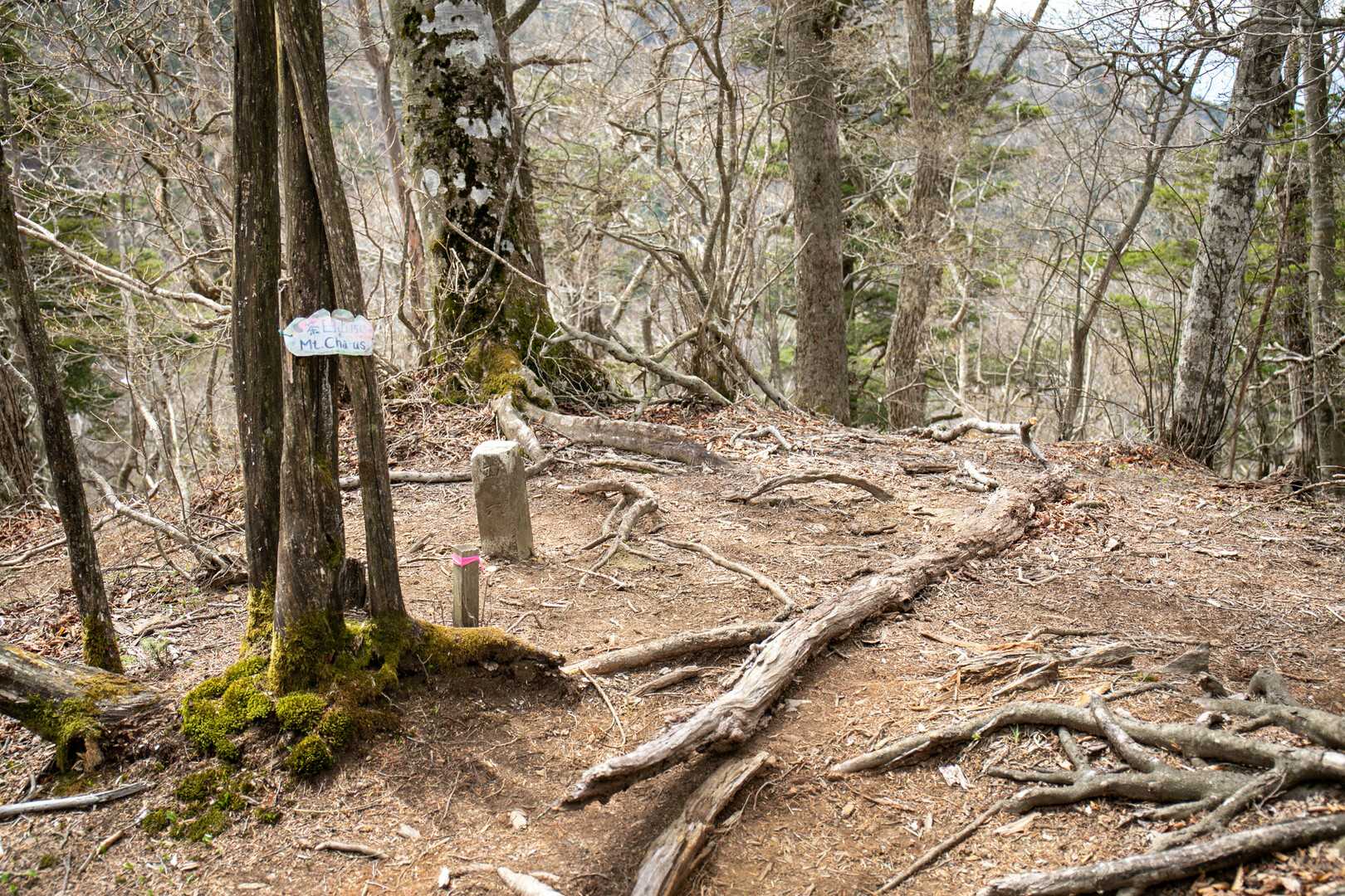茶臼山の写真