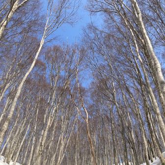 抜けるような青空の下、鎌倉山を目指します。