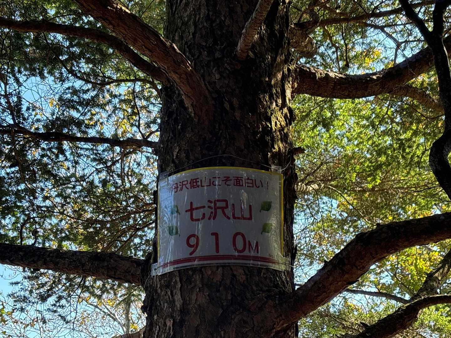 すぐに七沢山⛰️
『丹沢低山こそ面白い』と書かれてる🤣