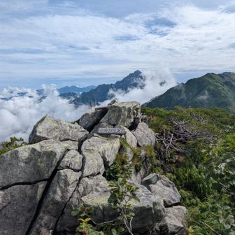 行きに見落とした中大日岳