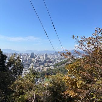 ここのロープがはずされていた。通行止め解消なのかな？