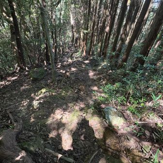 かなり下ります