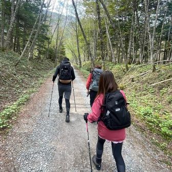 ᨒにゃにゃᨒ🐈🐾山と温泉とグルメと観光🐾