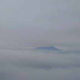 薩摩焼酎　雲海