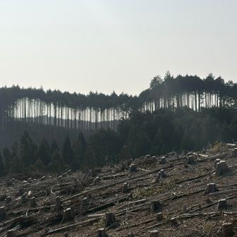 バイキンマンの口にも見えてきた😗
「ハ〜ヒフ〜ヘホ〜」