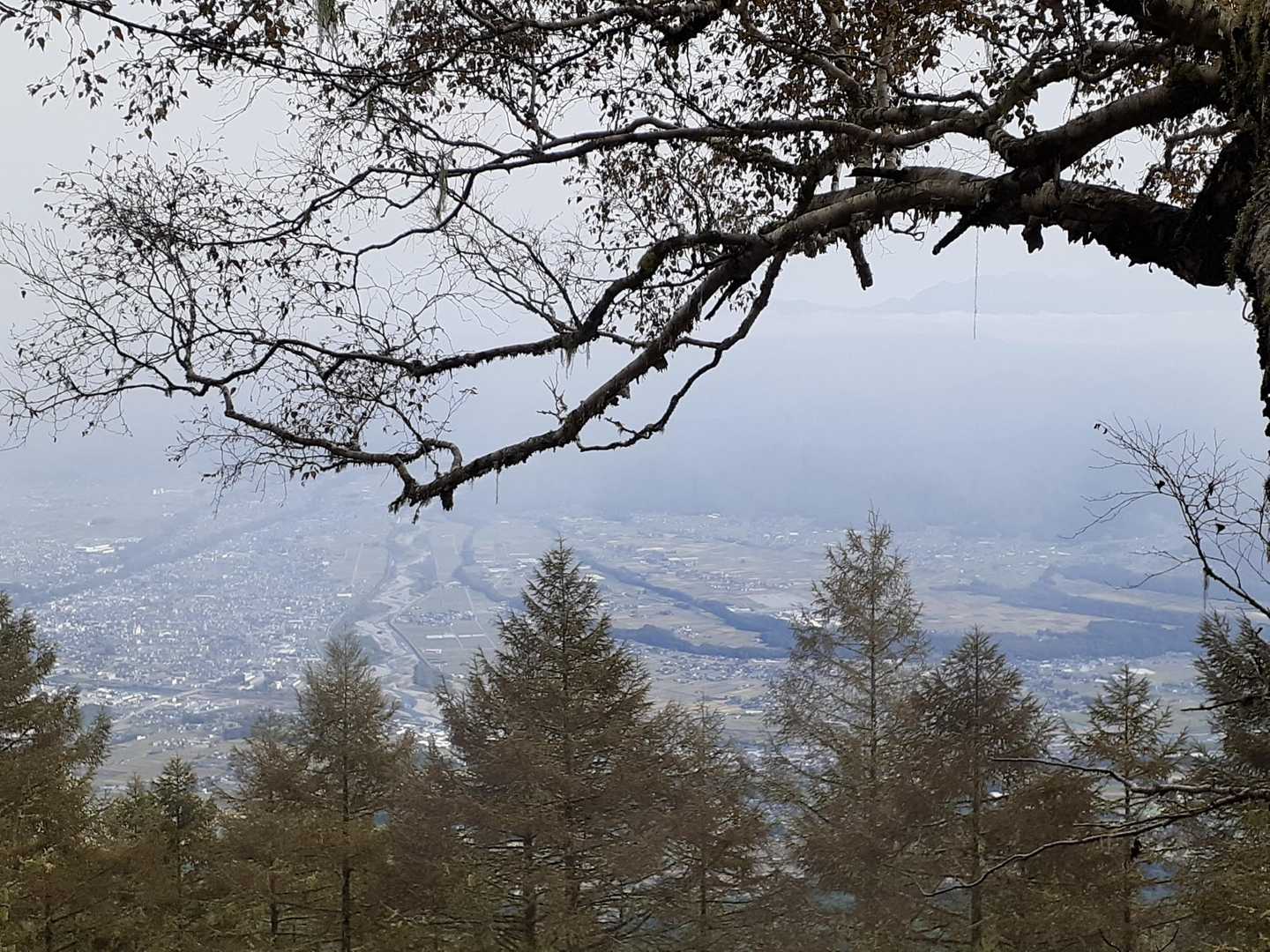 霧で霞む伊那市街😅