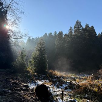 間も無くゴール🏁

雪が溶けて湯気出てます。