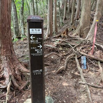 法力峠　この辺から激走します