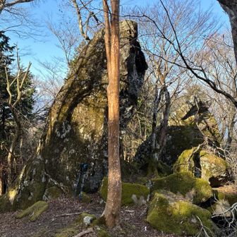 ストック置いたので大きさが分かるかな？