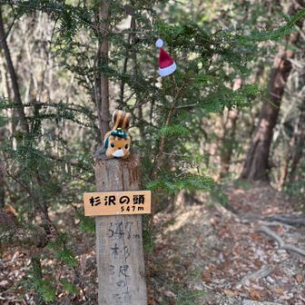 明日はクリスマスイブだね🎄🤶