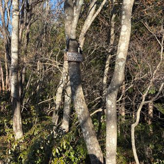 寄り道　分かってはいたがやっぱり何も無かったw