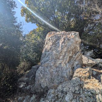 プチ岩場もあり