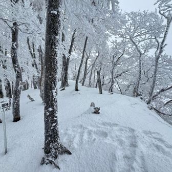 前山からこの明神岳のピークまでは先程の方のトレースを辿らせて頂きました。ワタクシは蓬莱さんの天気予報を信じて昼頃までの〝晴れ待ち〟するのにじっとしていると寒いので、三重県最高峰の桧塚奥峰方面へ時間潰しに歩いて行きます。