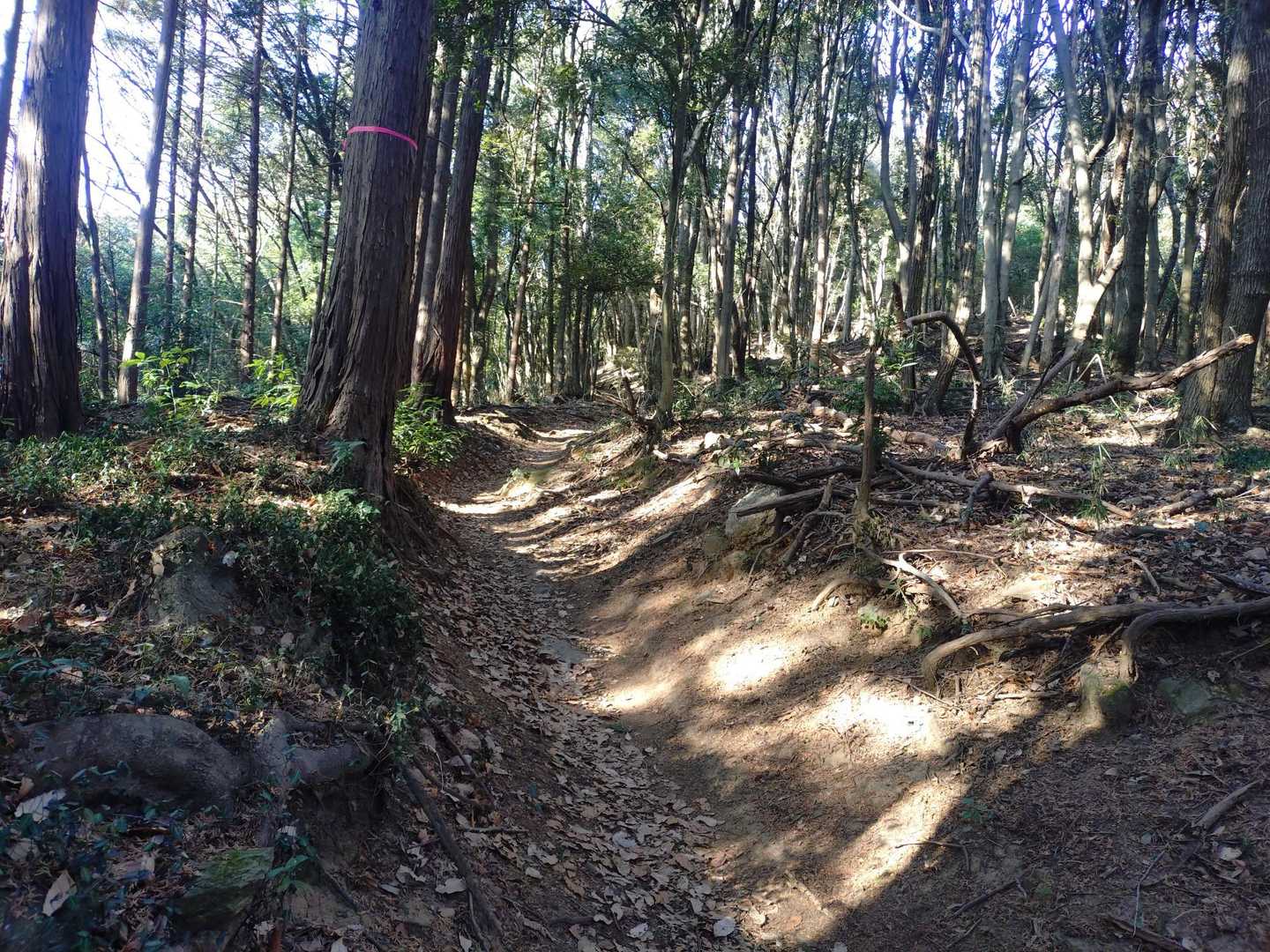 とっても整備されてます😊