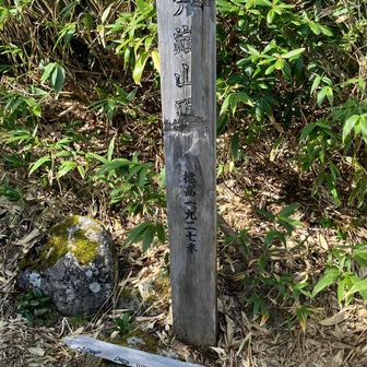 6座目、展望無し😢