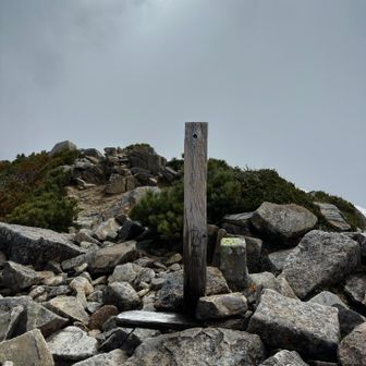 まずは抜戸岳
ちょっとハイマツ漕ぎ
補給中、熊出そうだったので熊ホーンを鳴らしてました😅