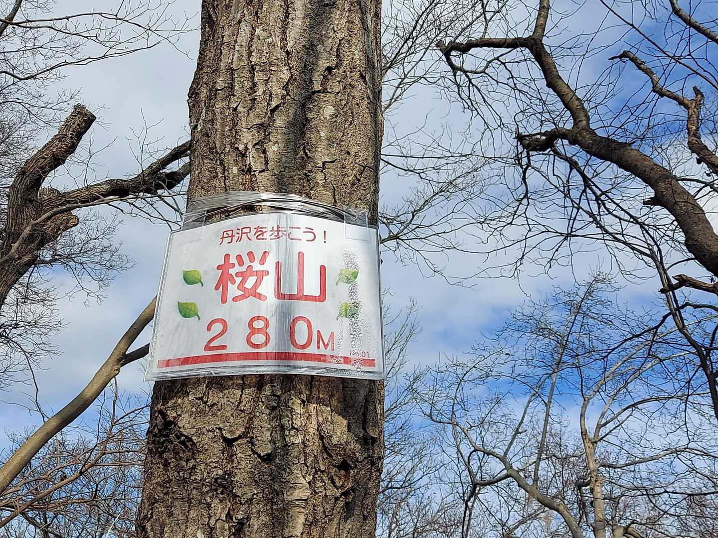 桜山🙋山頂到着