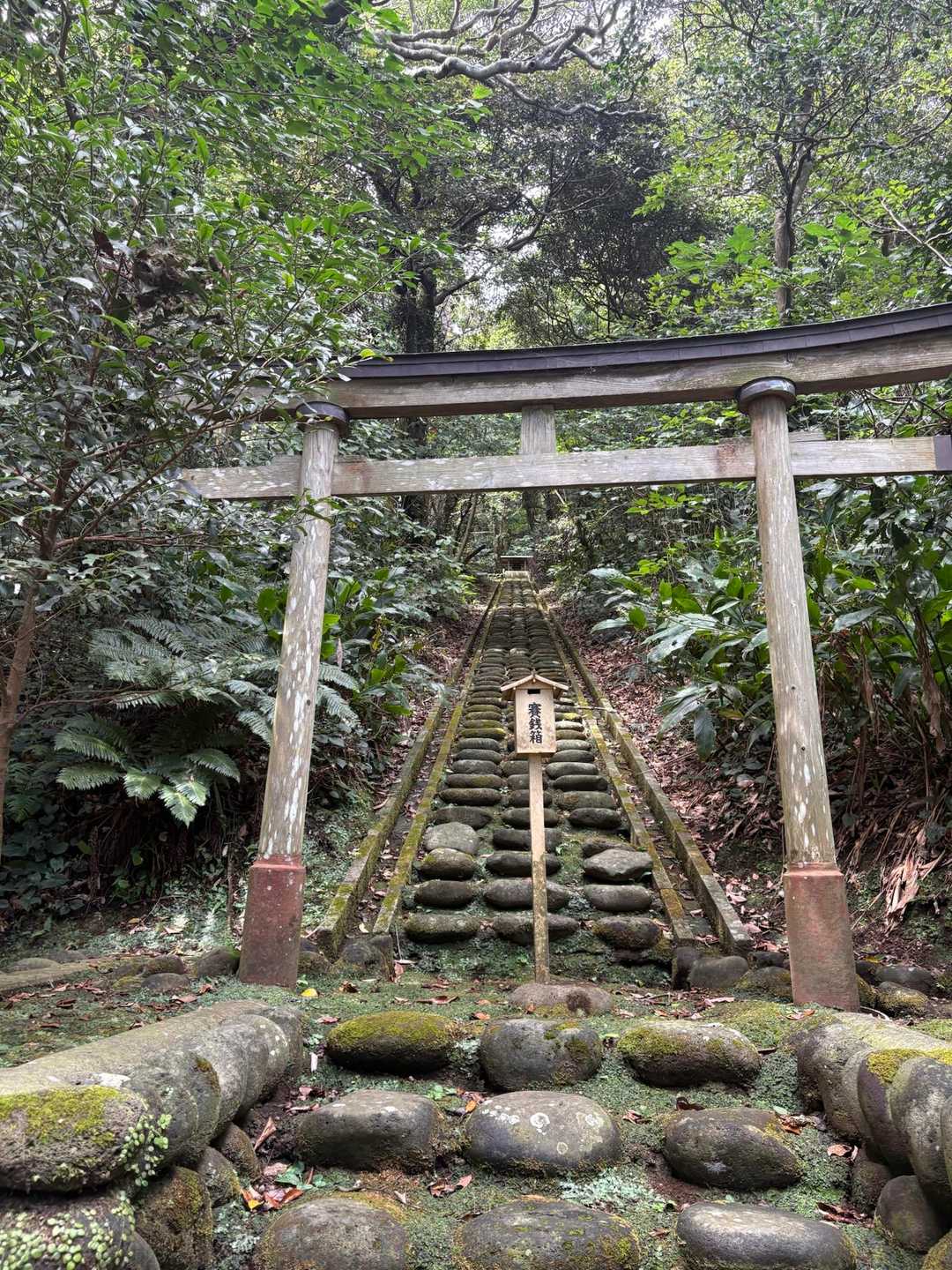 この先に行っていいのか悩みますがとりあえず行ってきました。