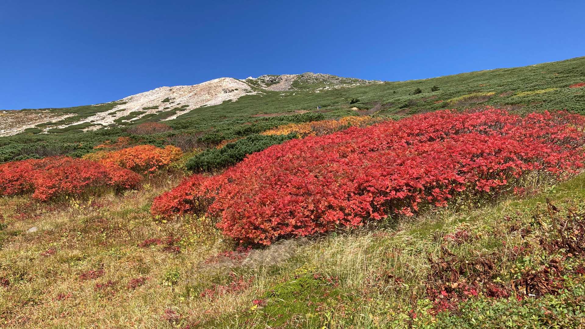これほどの紅葉は期待していなかったので、本当に来てよかったと思いました。