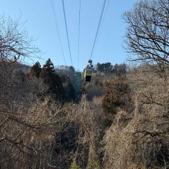 ロープウェイ🚡