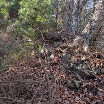 いやぁ〜、登り難かった