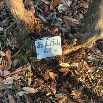 いつもの標識⑤