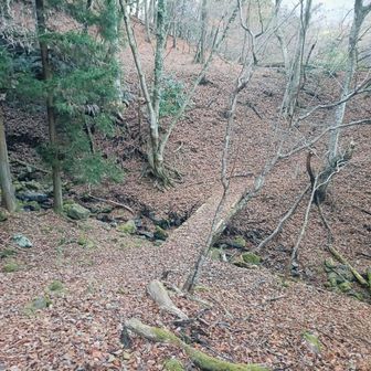 久保の吊り橋へはこの橋を渡ってはいけなかった(前回は別の下流側の橋(野原の吊り橋)から道志川を渡りました)。
少し戻ります