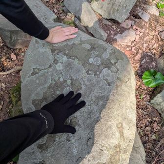 撫でるとご利益があるらしい🙏