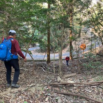 福生寺奥で県道へ
この後、部長とはお別れ