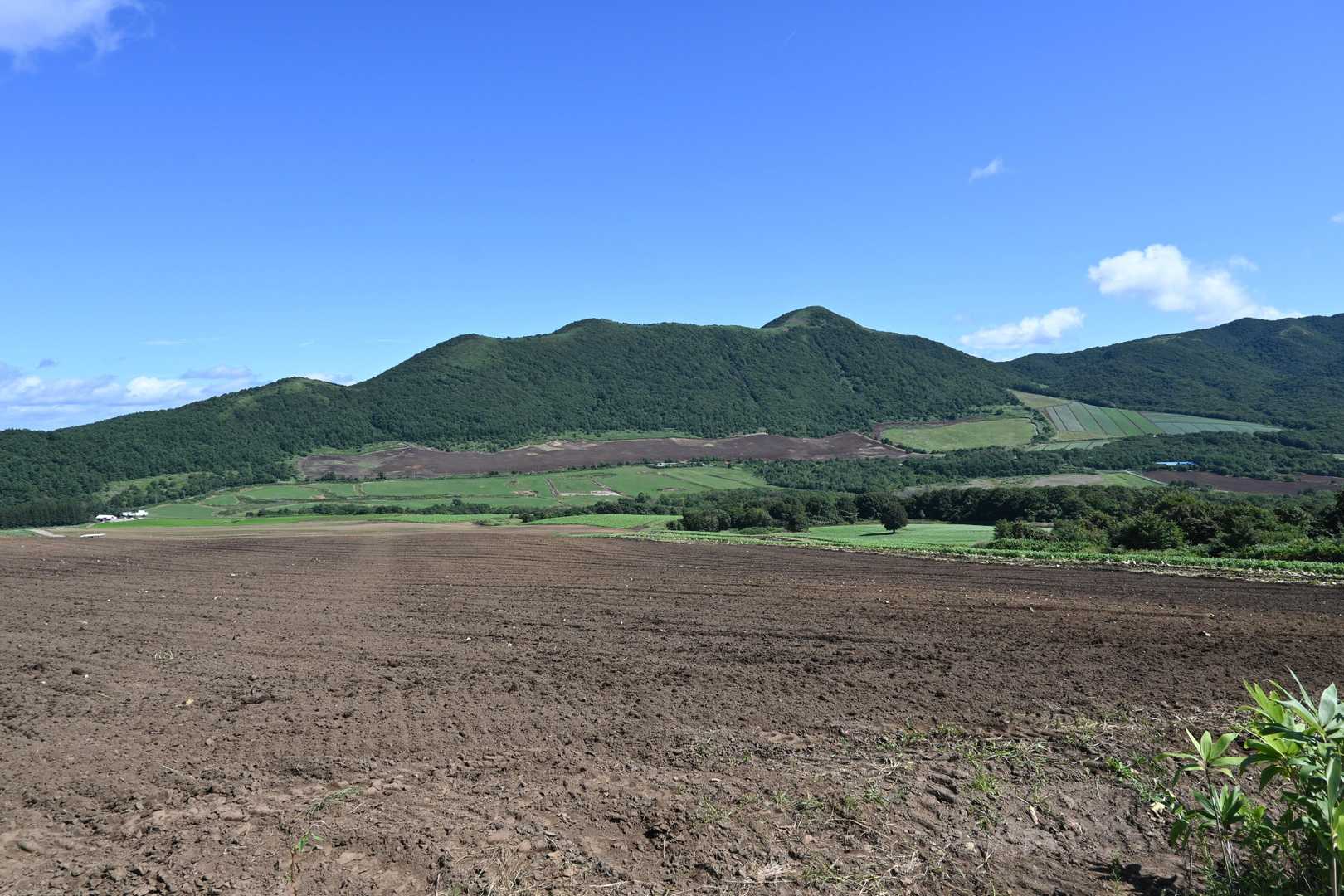大根畑と田代山
