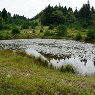 八雲ヶ原
