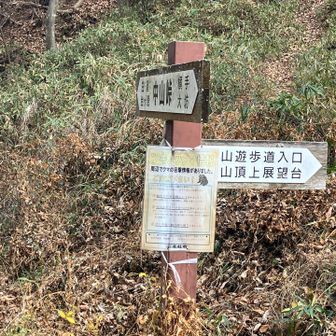 11時到着！
いつも誰かしら逢うのに今日は誰とも逢いませんでした くまさん🧸とも遭わなくて良かった