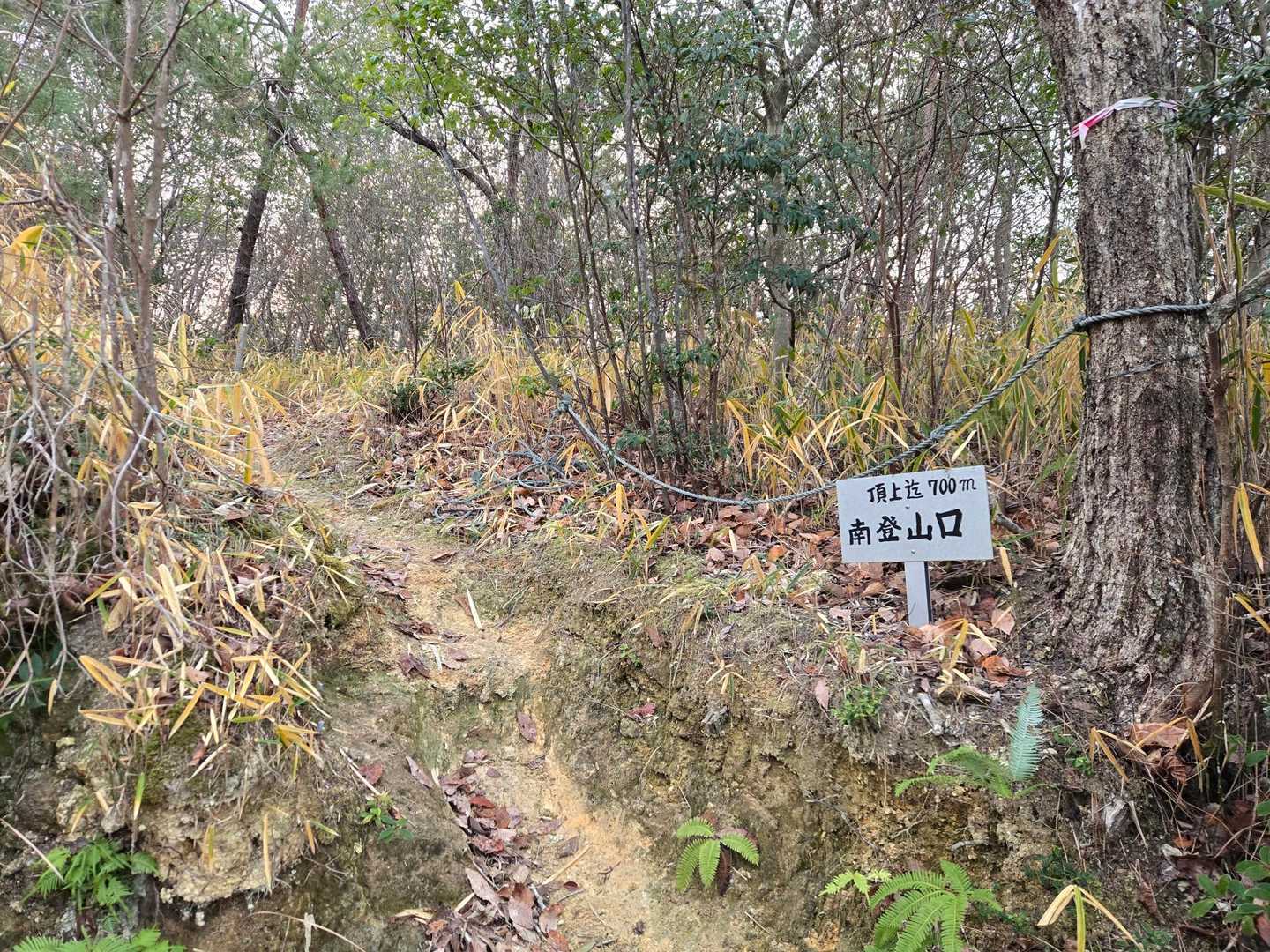 登山口
山頂まで700m
