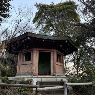 山頂到着。
地元の方も猫の餌やり、体操に到着。毎日来ているそう。そういうコミュニティ素敵だなー😌