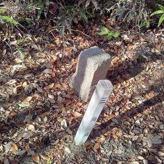 5分ほど歩いて山頂へ。