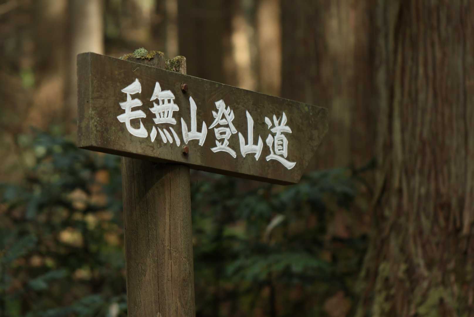 毛無山-白馬山-俣野越-金ヶ谷山 周回コースの写真