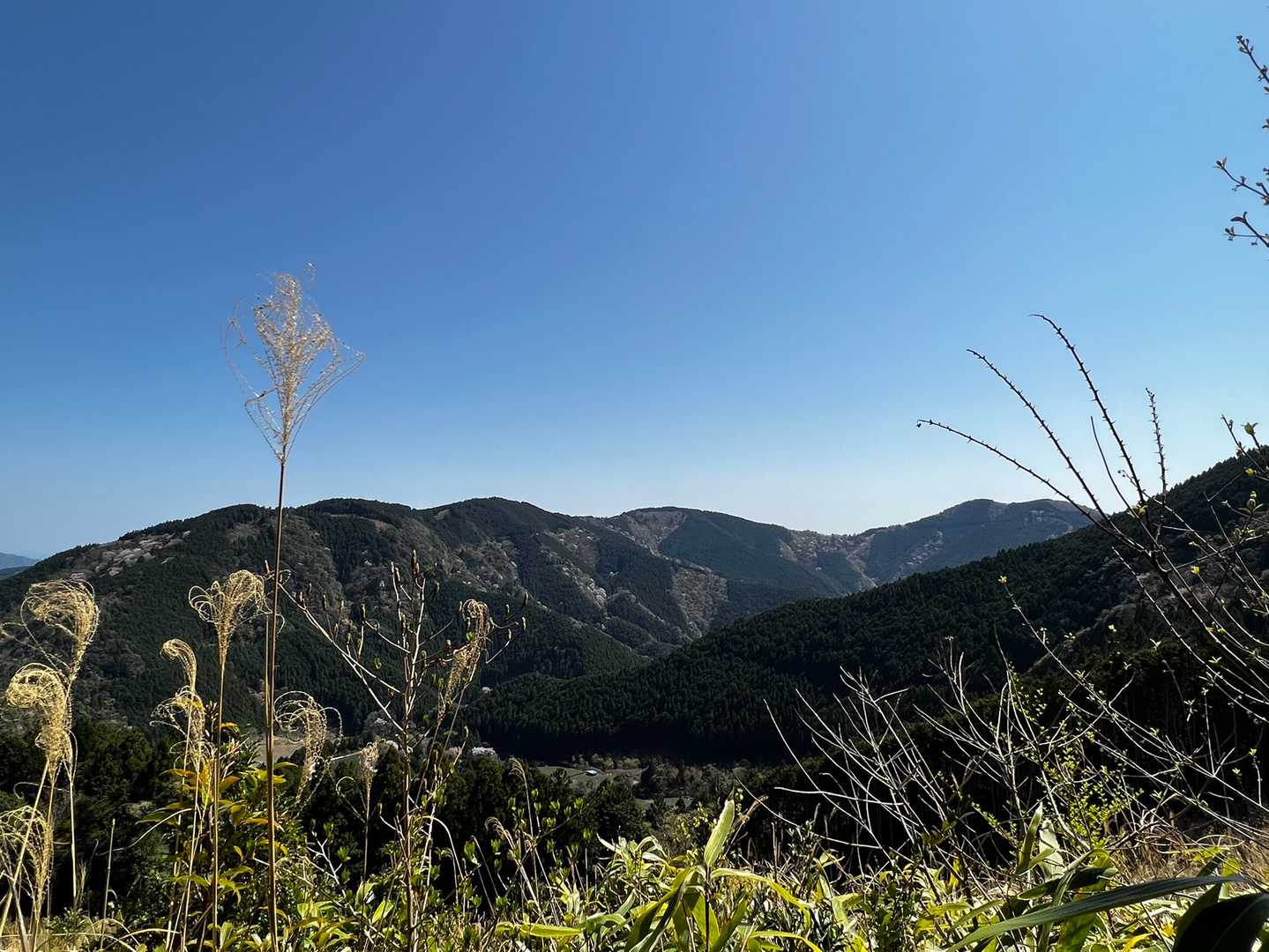 前回登った高尾山、笠張山、菩提山⛰⛰⛰