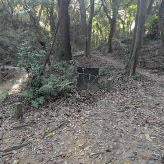 最後のお山へ