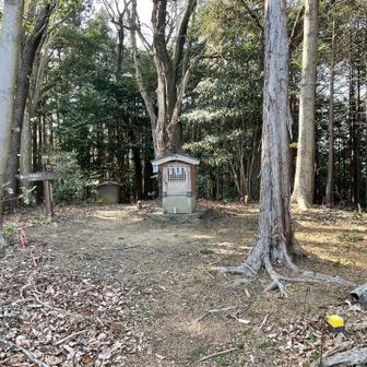 雷電山の山頂にある祠あり🙏